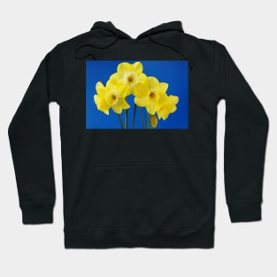 Narcissus  &#39;Regeneration&#39;  Division 7 Jonquilla   Daffodil Hoodie